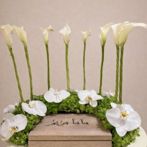 Cala Halo (Cala Arrangement)